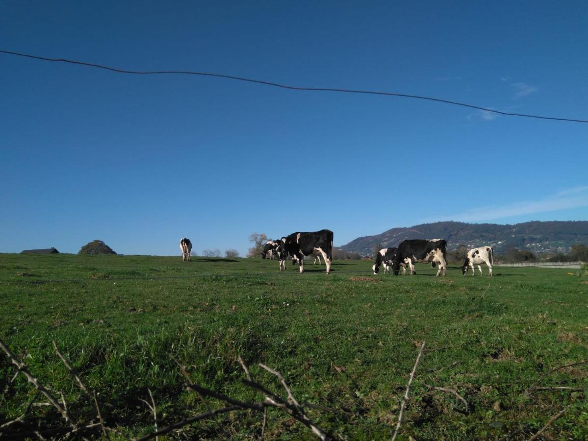 Casa Pepin - Sagasta Rural Oviedo 게스트하우스 외부 사진