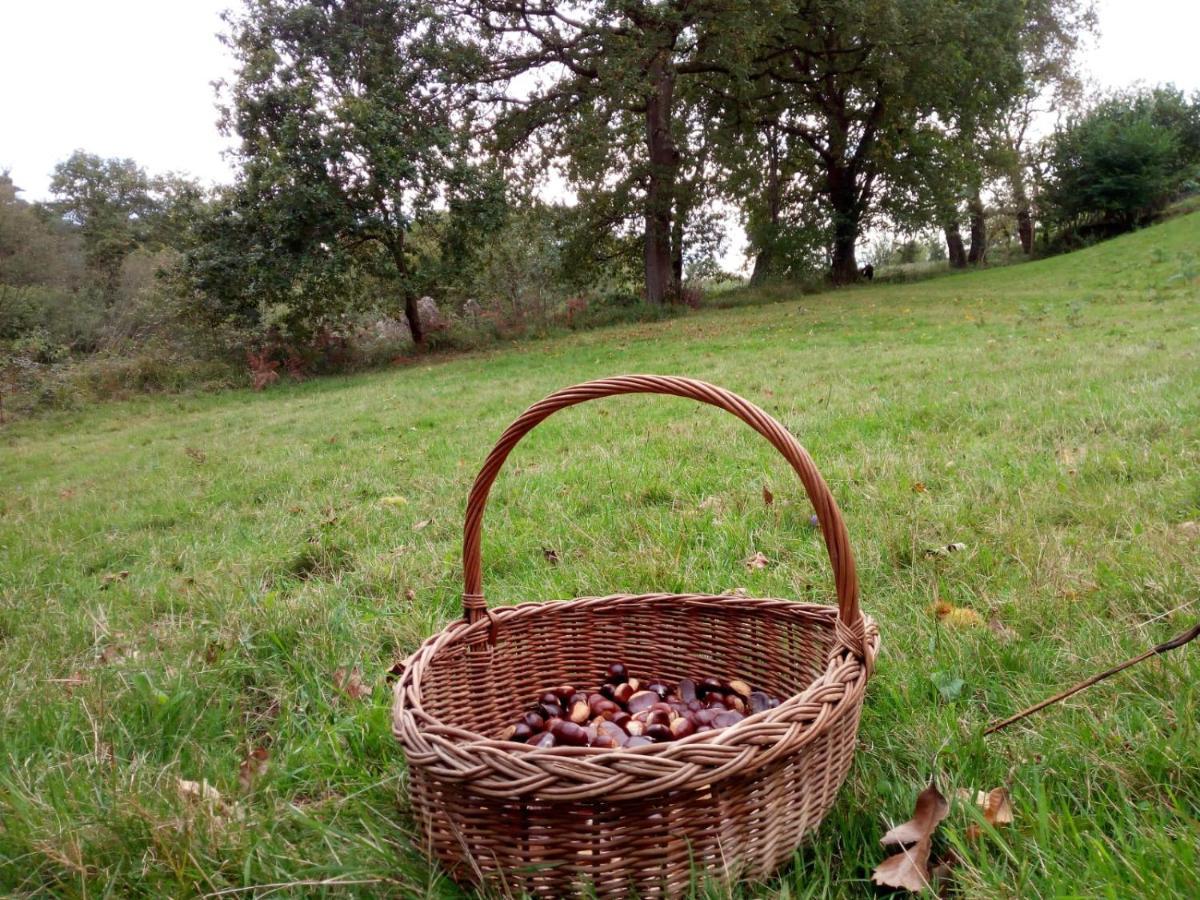 Casa Pepin - Sagasta Rural Oviedo 게스트하우스 외부 사진