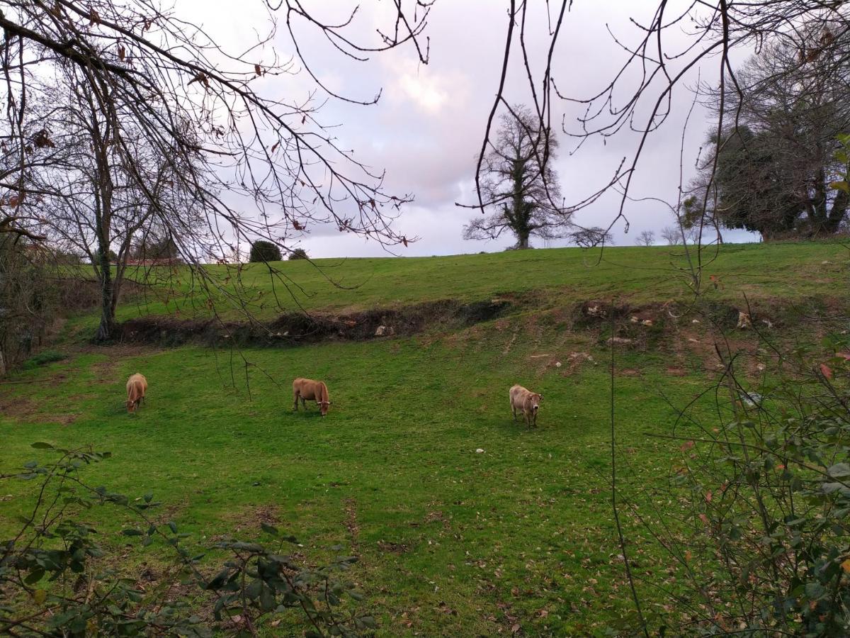 Casa Pepin - Sagasta Rural Oviedo 게스트하우스 외부 사진