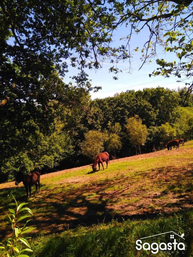 Casa Pepin - Sagasta Rural Oviedo 게스트하우스 외부 사진